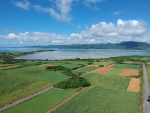 小浜島のコンビニやスーパー事情を徹底解説 小浜島の買い物 小浜島ツアーズ