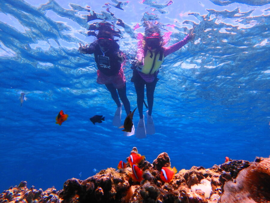 小浜島でシュノーケリングを楽しむ二人