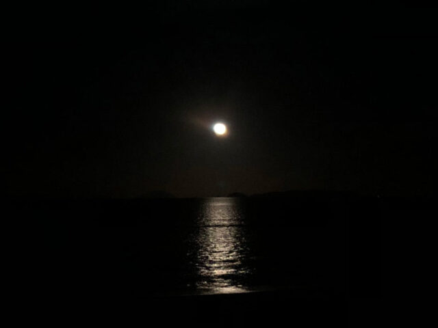 小浜島ナイトツアーで眺める、幻想的なムーンロードと夜の静かな海。