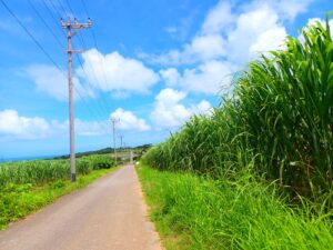 小浜島のコンビニやスーパー事情を徹底解説 小浜島の買い物 小浜島ツアーズ