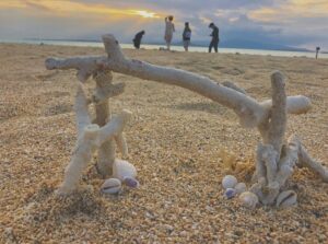 【小浜島/約1時間】360度絶景の『幻の島』で極上のサンセットタイムを☆水に濡れず快適！幻の島上陸＆散策クルージングツアー＜年齢制限なし＆手ぶら参加OK＞