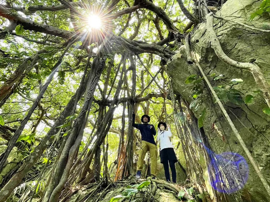 【小浜島/約90分】3歳から参加OK◎小浜島探検隊♪秘境スポットを巡る少人数制ガイドツアー！野生生物が暮らす森へ大冒険☆＜送迎付き＞（No.689）