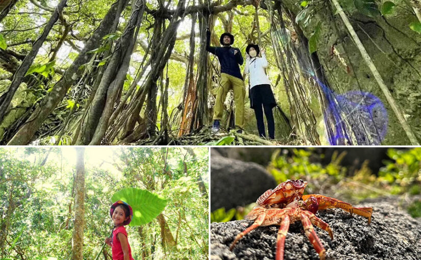 小浜島探検隊