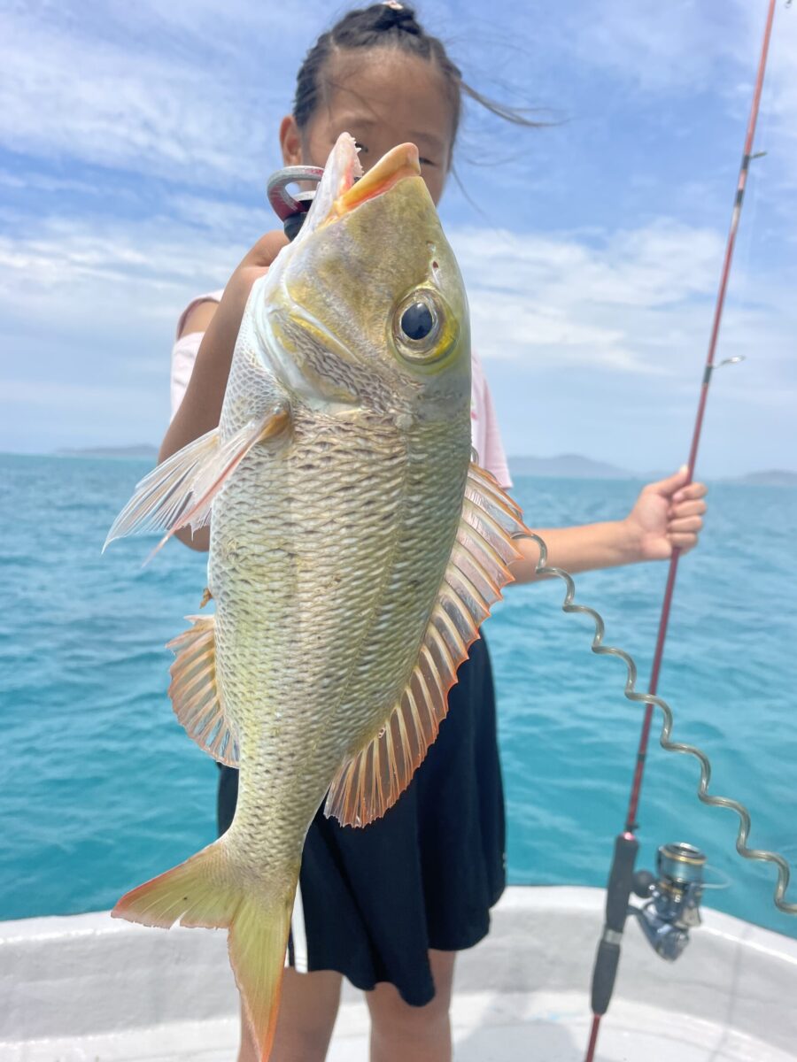 【小浜島/半日貸切】初心者大歓迎！出港時間の相談OK☆自分たちだけで楽しむ船釣りチャータープラン★機材込み＆居酒屋で調理OK（No.674）