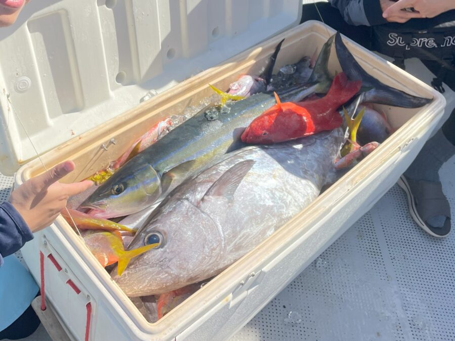 【小浜島/1日貸切】初心者&ファミリー大歓迎！小浜島の美ら海でグルクン＆泳がせ大物釣り★機材込み＆居酒屋で調理OK（No.676）