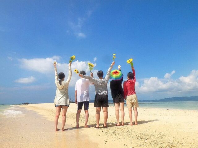 のどかな風景に癒される！小浜島のさとうきび畑と観光スポットを巡ろう♪