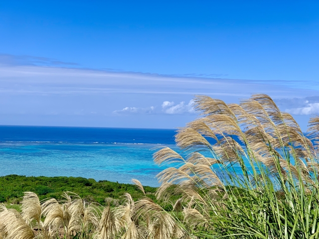 小浜島のお土産案内｜島のぬくもりをおすそわけ♪おすすめのお土産屋さんもご紹介