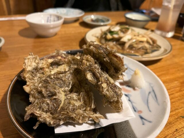夜ご飯、小浜島で何食べる？グルメ好きが選ぶ人気のディナースポット8選