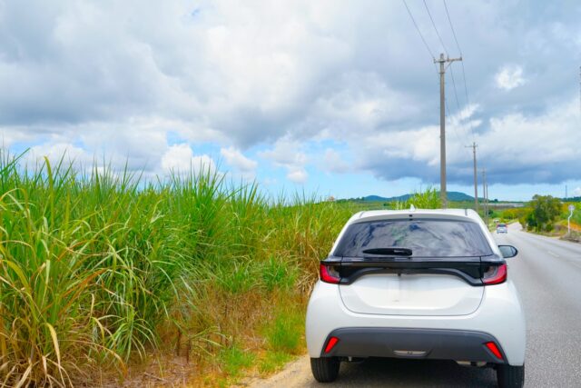 レンタカー　沖縄の畑　ドライブ