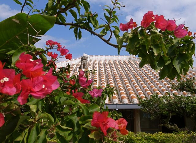 沖縄の家　赤瓦　ブーゲンビリア